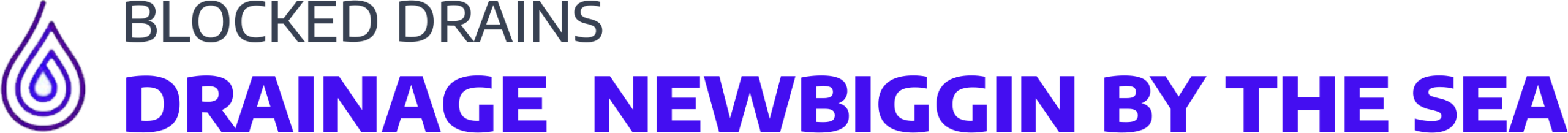 website logo